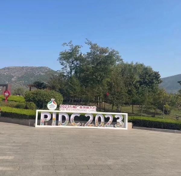 聚势19.jpg 聚势19.jpg