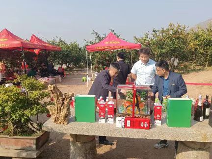 聚势14.jpg 聚势14.jpg